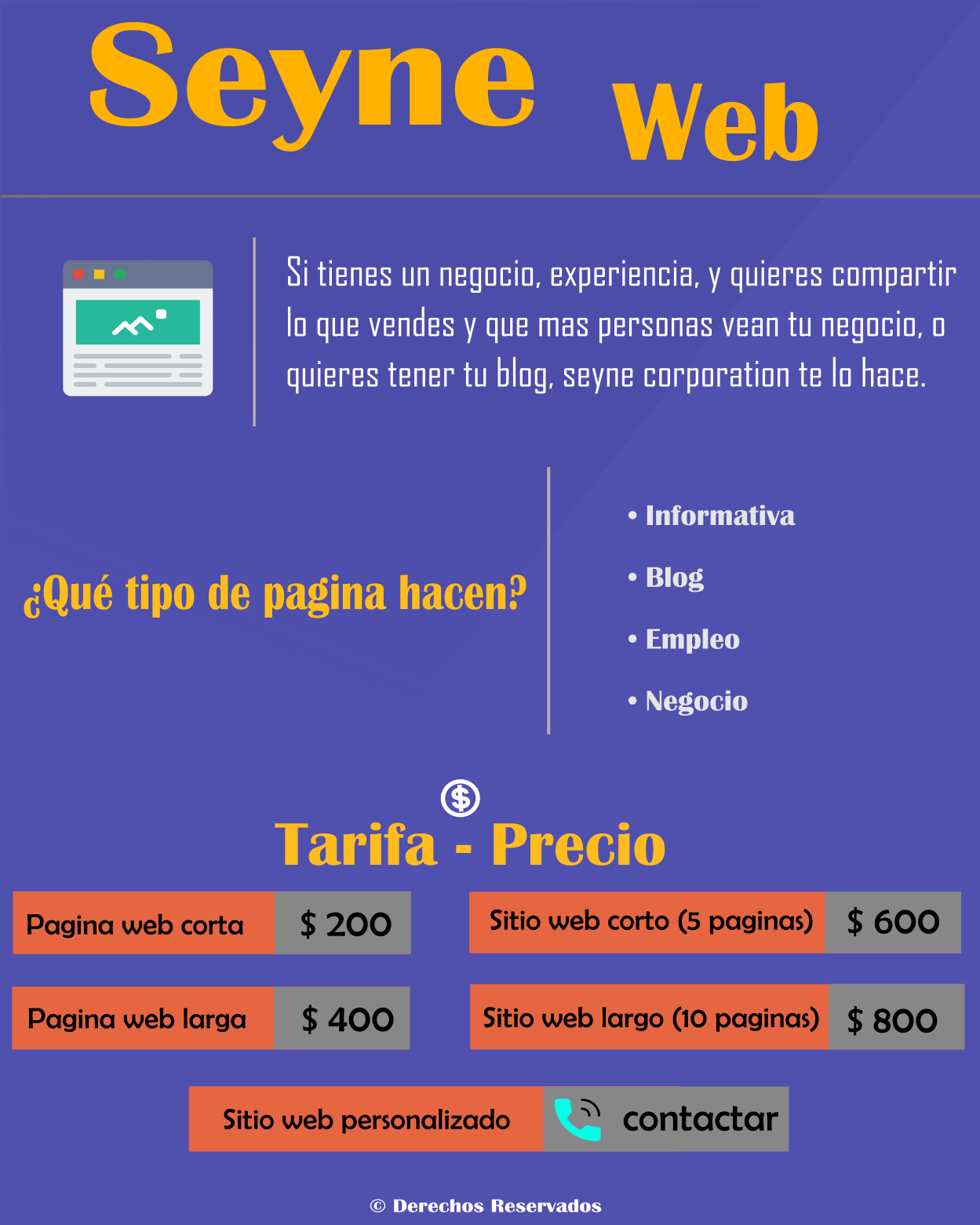 publicidad de seyne web